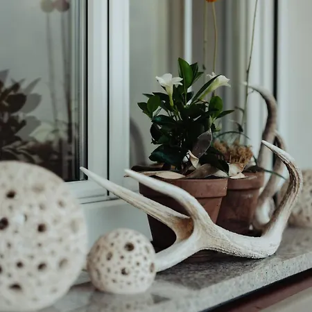 Appartement Barbara Salzgeber Schruns